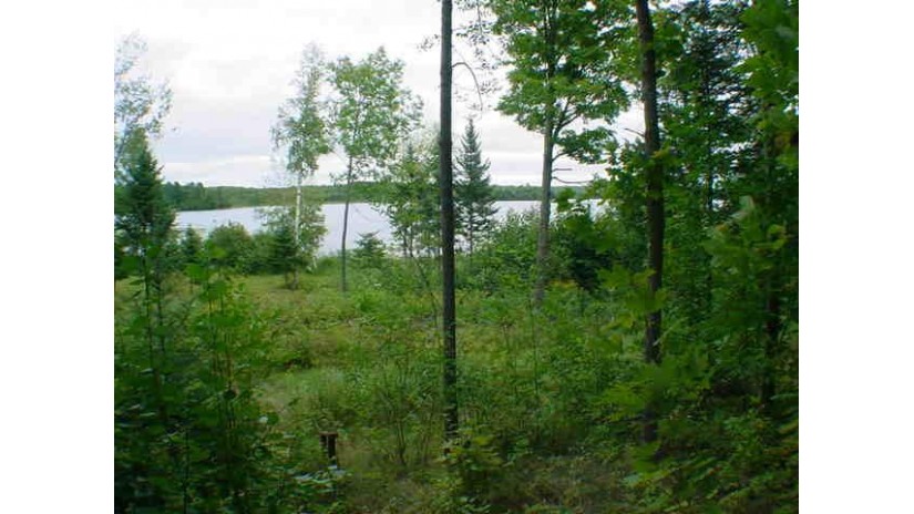 LT4 W Bay Ct Ainsworth, WI 54462-9300 by RE/MAX North Winds Realty, LLC $100,000