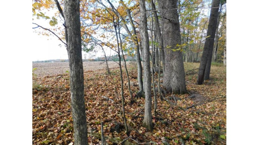 LT0 Rocky Ridge Ln Belle Plaine, WI 54166-0000 by RE/MAX North Winds Realty, LLC $44,000