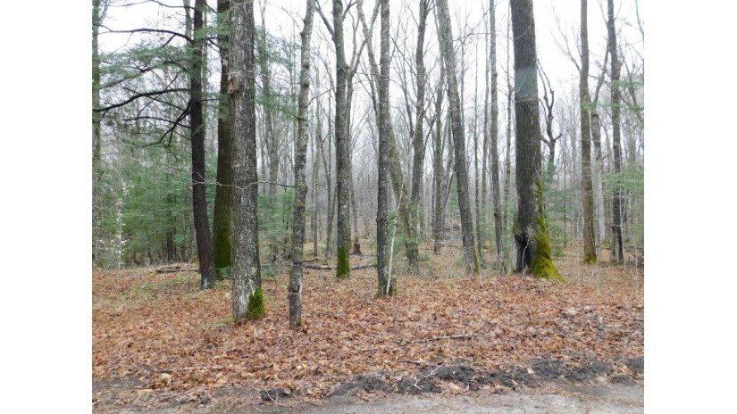 LT0 County Road M Wolf River, WI 54491-0000 by RE/MAX North Winds Realty, LLC $84,900