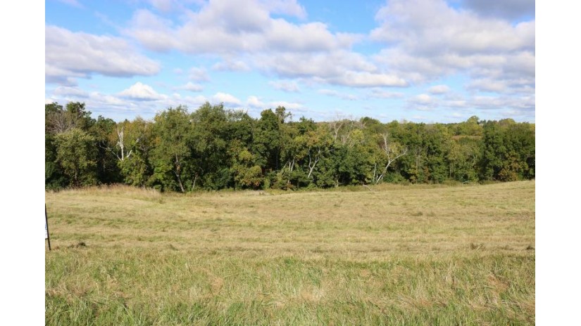 LOT 10 Willow Trl Shelby, WI 54601 by RE/MAX Results $165,000