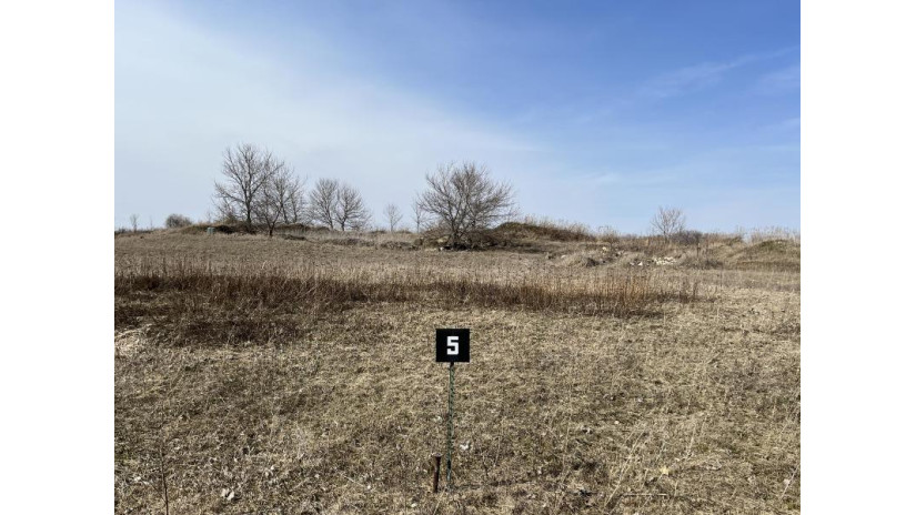 LT5 Cedar View Dr Saint Cloud, WI 53079 by Village Realty & Development $33,400