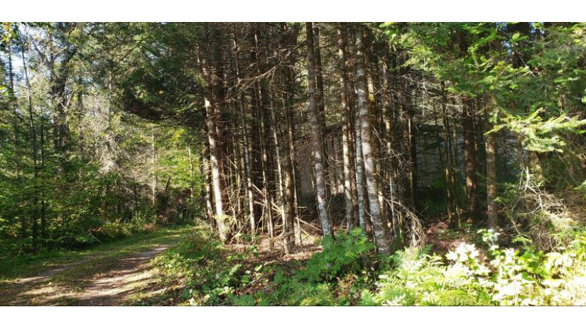 500 Jacquet Rd Fence, WI 54542 by Birchwood Properties LLC $125,000