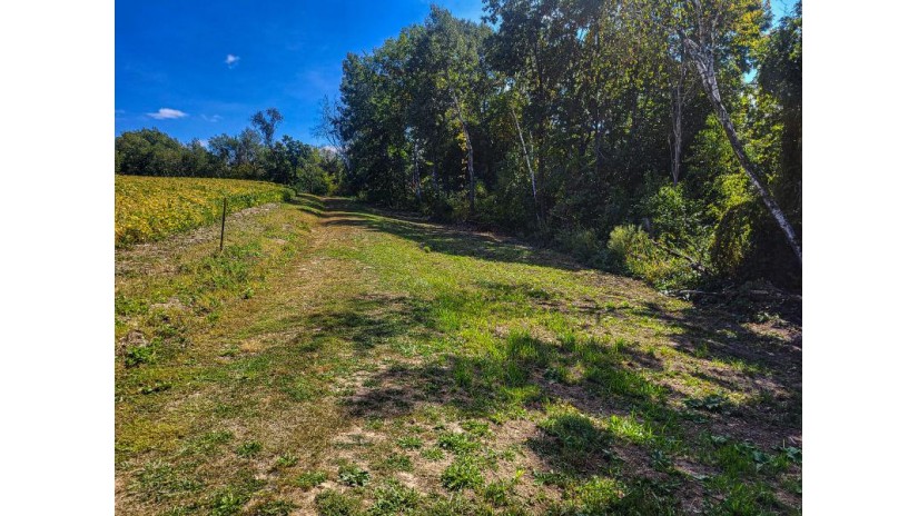 W599 Buehler Valley Rd Cross, WI 54629 by Weiss Realty, LLC $265,000