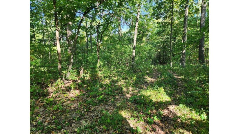 54008 Valentine Ln Eastman, WI 53826 by NextHome Prime Real Estate $1,000,000