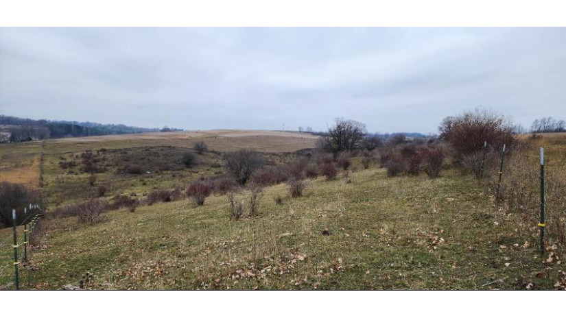 0 Hwy 56 - Viroqua, WI 54665 by United Country - Oakwood Realty, LLC $695,200