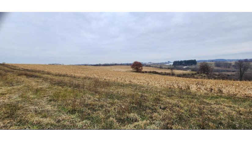 0 Hwy 56 - Viroqua, WI 54665 by United Country - Oakwood Realty, LLC $220,000