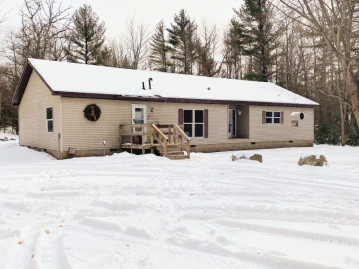 N12210 Tower Rd, Athelstane, WI 54104