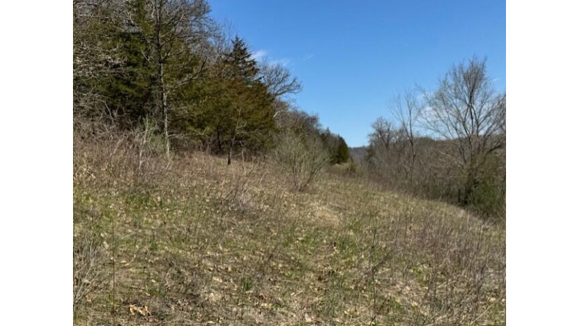 0 State Hwy 56 - PARCEL 4 Genoa, WI 54632 by Hall Realty $79,500