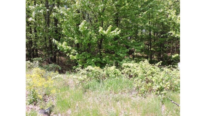 4781 Turkey Trail Lot #19 Woodland Hei Amherst, WI 54406 by First Weber $40,900