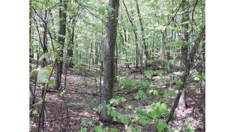 4781 Turkey Trail Lot #19 Woodland Hei Amherst, WI 54406 by First Weber $40,900