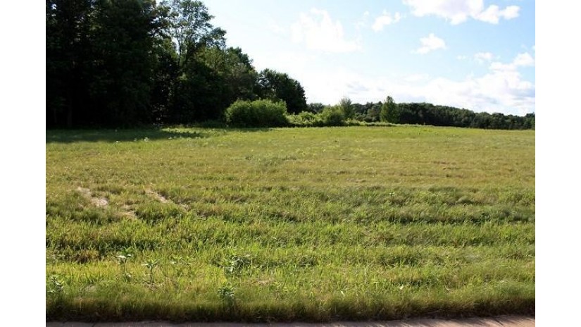 1310 Bent Stick Drive Lot 1 Wausau, WI 54403 by Coldwell Banker Action $35,900