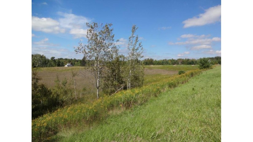 4531 Park Road 0 County Road Db Mosinee, WI 54455 by First Weber $450,000