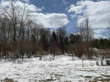 Lot 14 Jason Street, Wittenberg, WI 54499