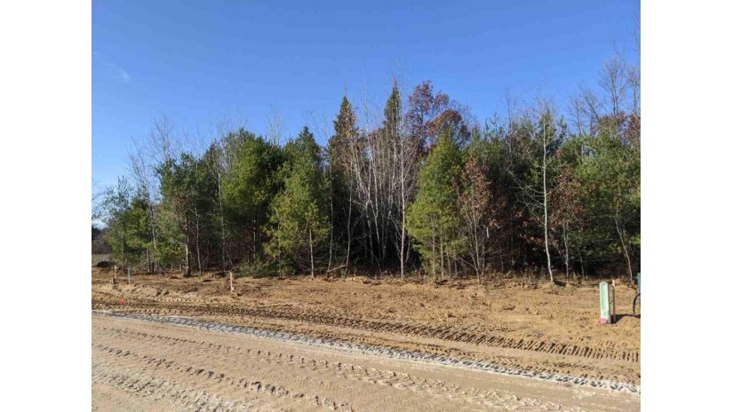 618 Briarwood Way Lot 56 Plover, WI 54467 by Classic Realty, Llc - Phone: 715-252-2868 $54,900