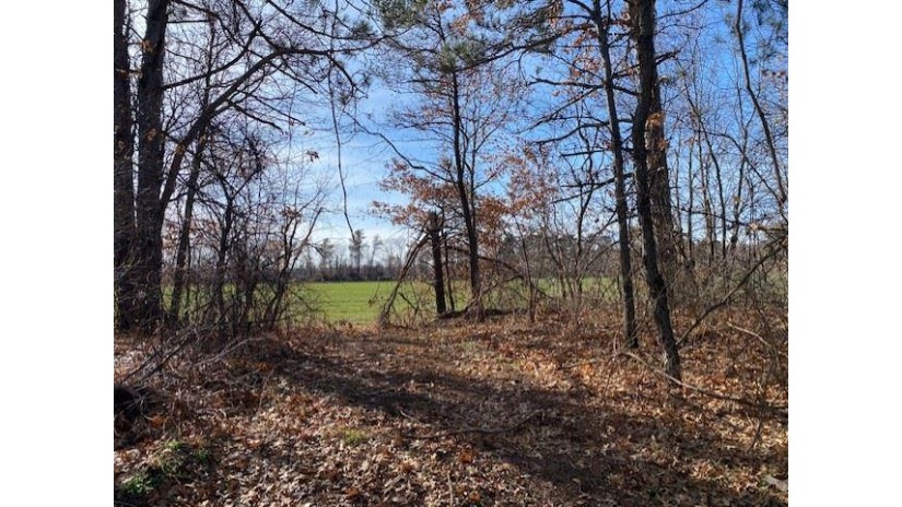 36 MOL Acres Old Highway 18 Stevens Point, WI 54482 by First Weber - homeinfo@firstweber.com $660,000