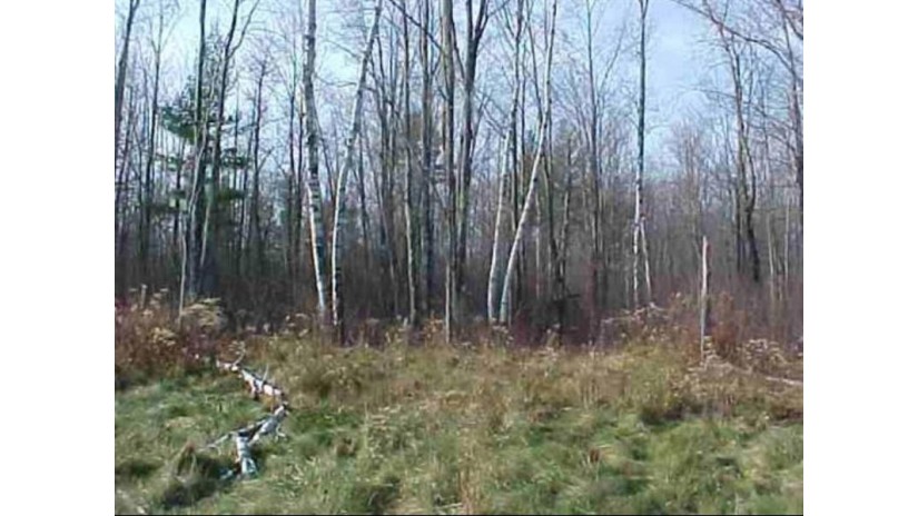 Lot 1 Wood Duck Lane Merrill, WI 54452 by First Weber $23,900