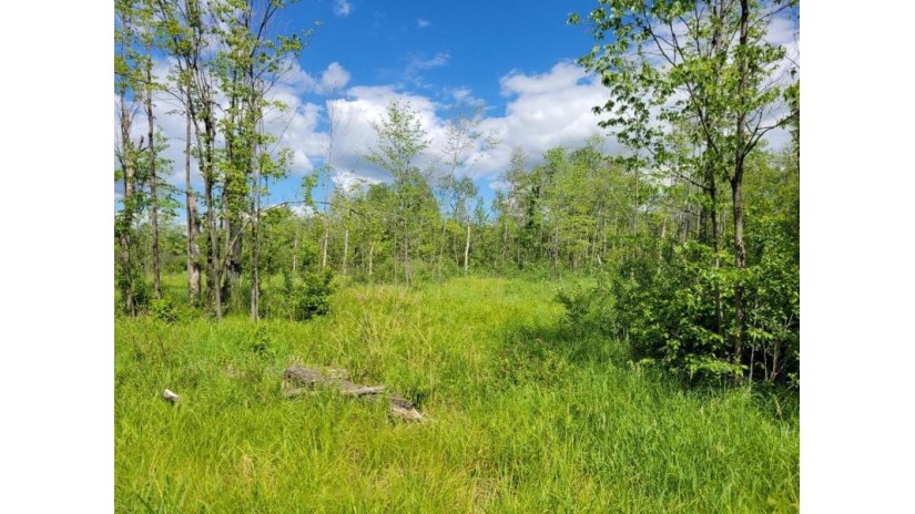 Lot 1 Johnson Road Pittsville, WI 54466 by First Weber $32,900