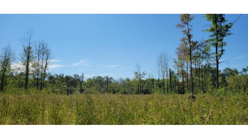 Lot 1 Johnson Road Pittsville, WI 54466 by First Weber - homeinfo@firstweber.com $32,000