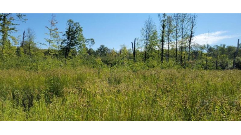 Lot 1 Johnson Road Pittsville, WI 54466 by First Weber - homeinfo@firstweber.com $32,000