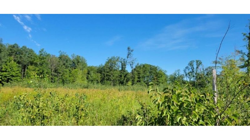 Lot 1 Johnson Road Pittsville, WI 54466 by First Weber $32,900