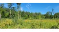 Lot 1 Johnson Road Pittsville, WI 54466 by First Weber - homeinfo@firstweber.com $32,000