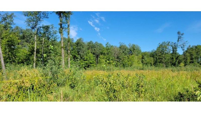 Lot 1 Johnson Road Pittsville, WI 54466 by First Weber - homeinfo@firstweber.com $32,900