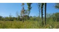 Lot 3 Johnson Road Pittsville, WI 54466 by First Weber $34,900
