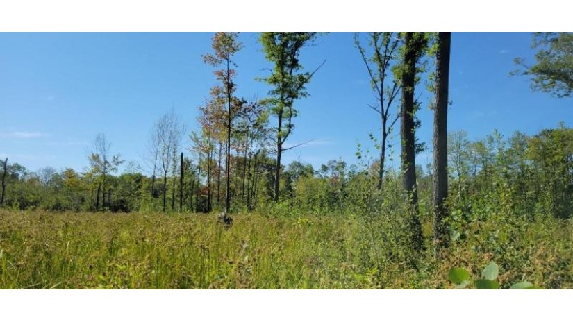 Lot 3 Johnson Road Pittsville, WI 54466 by First Weber - homeinfo@firstweber.com $32,000