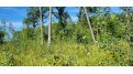 Lot 3 Johnson Road Pittsville, WI 54466 by First Weber - homeinfo@firstweber.com $34,900