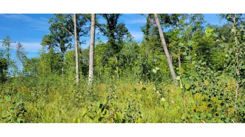 Lot 3 Johnson Road Pittsville, WI 54466 by First Weber - homeinfo@firstweber.com $34,900