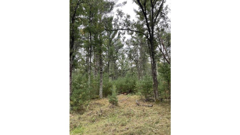 13.62 Acres Townline Road Lot 3 Of Wccsm 10968 Wisconsin Rapids, WI 54494 by Re/Max Connect - Phone: 715-213-7477 $135,000