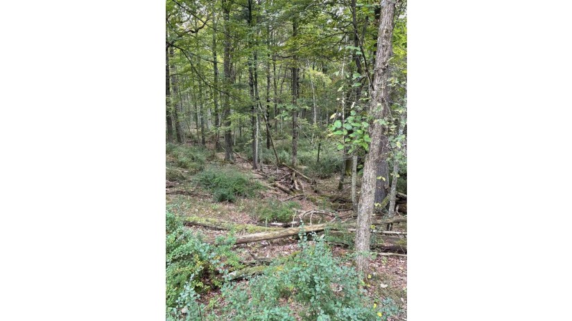 10.265 Acres Townline Road Lot 8 Of Wccsm 10969 Wisconsin Rapids, WI 54489 by Re/Max Connect $101,000