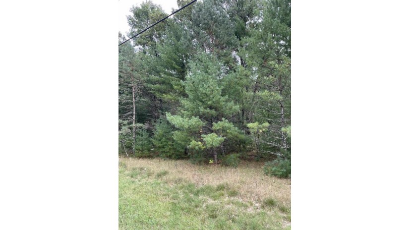 10.265 Acres Townline Road Lot 8 Of Wccsm 10969 Wisconsin Rapids, WI 54489 by Re/Max Connect - Phone: 715-213-7477 $101,000