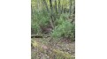 8.95 Acres Townline Road Lot 11 Of Wccsm 1096 Wisconsin Rapids, WI 54494 by Re/Max Connect - Phone: 715-213-7477 $88,000
