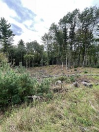 8.382 Acres Townline Road Lot 12 Of Wccsm 1096, Wisconsin Rapids, WI 54494