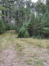 8.457 Acres Townline Road Lot 13 Of Wccsm 1096, Wisconsin Rapids, WI 54494