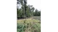8.457 Acres Townline Road Lot 13 Of Wccsm 1096 Wisconsin Rapids, WI 54494 by Re/Max Connect - Phone: 715-213-7477 $83,000