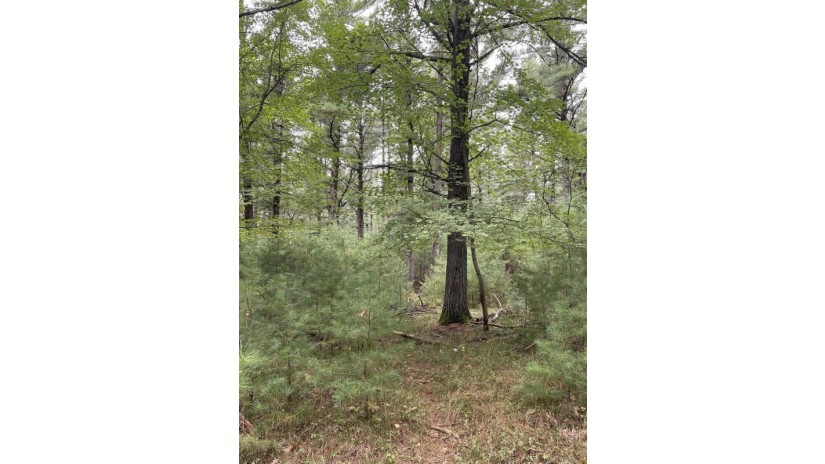 10.419 Acres 48th Street South Lot 5 Of Wccsm 10967 Wisconsin Rapids, WI 54494 by Re/Max Connect $105,000
