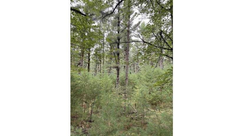 10.419 Acres 48th Street South Lot 5 Of Wccsm 10967 Wisconsin Rapids, WI 54494 by Re/Max Connect - Phone: 715-213-7477 $105,000