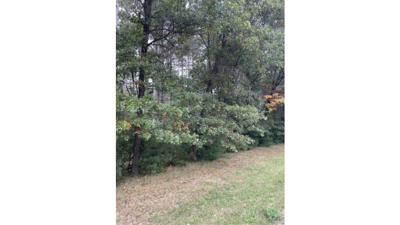10.386 Acres 48th Street South Lot 7 Of Wccsm 10967 Wisconsin Rapids, WI 54494 by Re/Max Connect - Phone: 715-213-7477 $105,000