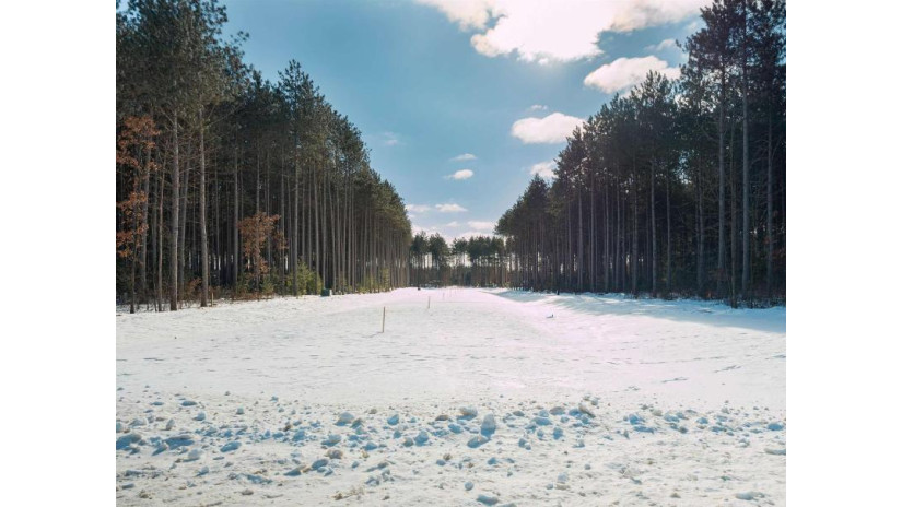 Lot 3 Two Sisters Court Stevens Point, WI 54482 by Kpr Brokers, Llc - Cell: 715-598-6367 $57,900