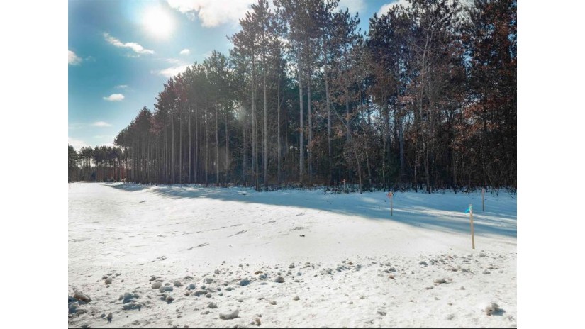 Lot 3 Two Sisters Court Stevens Point, WI 54482 by Kpr Brokers, Llc - Cell: 715-598-6367 $57,900