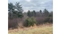 6.57 Acres Ryan Street Weston, WI 54476 by Coldwell Banker Action $39,900