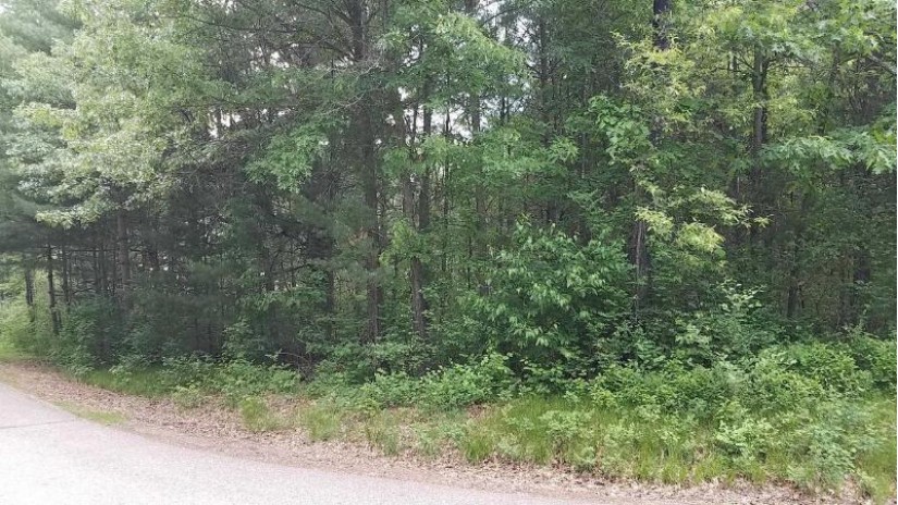 Lot #9 Center Road Merrill, WI 54452 by Century 21 Best Way $15,900