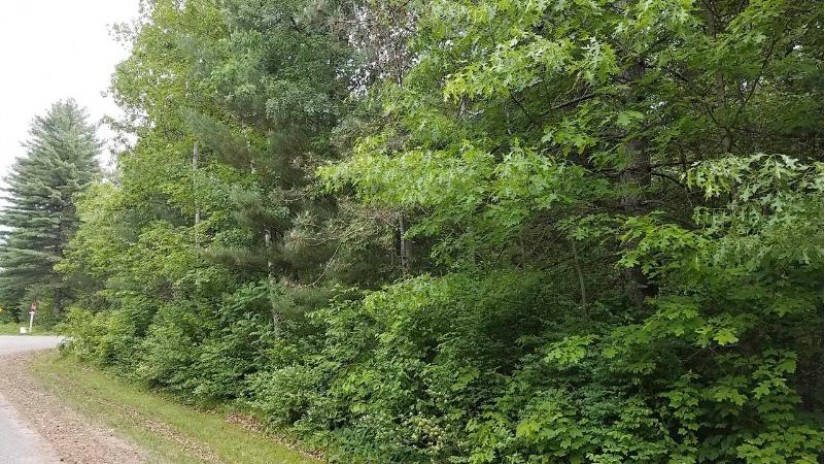 Lot #9 Center Road Merrill, WI 54452 by Century 21 Best Way $15,900