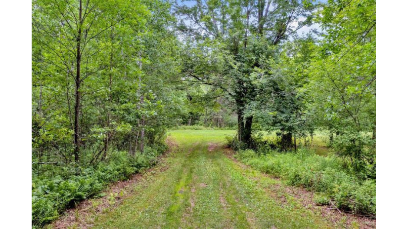 16 acres mol Ole River Road Stevens Point, WI 54481 by Terry Wolfe Realty - Main: 715-423-0561 $995,000