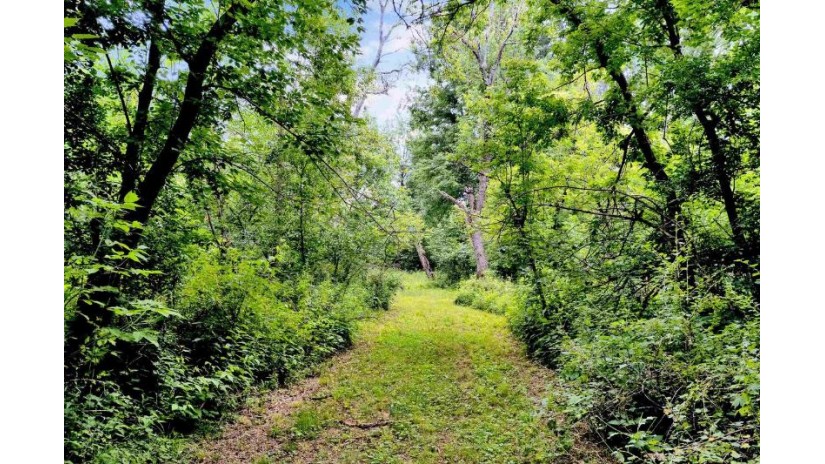 16 acres mol Ole River Road Stevens Point, WI 54481 by Terry Wolfe Realty - Main: 715-423-0561 $995,000