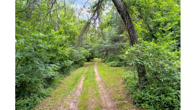 16 acres mol Ole River Road Stevens Point, WI 54481 by Terry Wolfe Realty - Main: 715-423-0561 $995,000