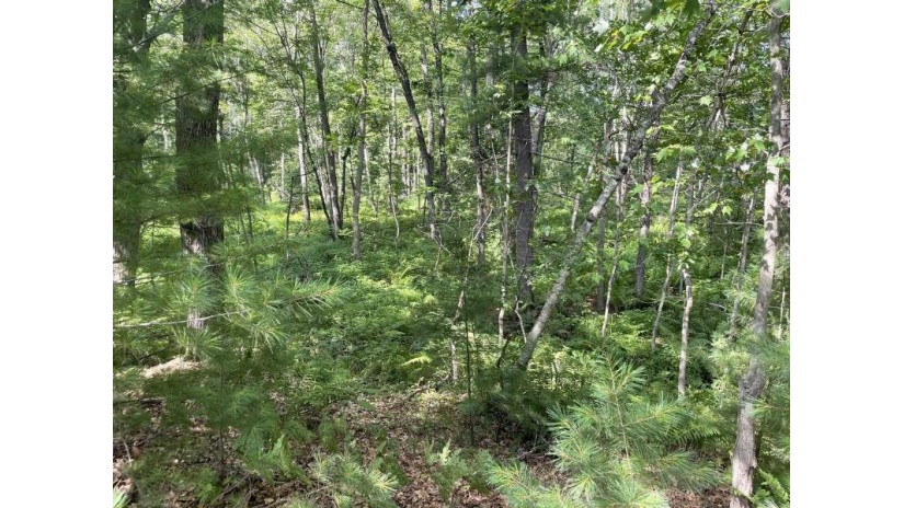 Lot 26 Westport Court Port Edwards, WI 54467 by First Weber - homeinfo@firstweber.com $22,500