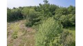 1.51 Acres State Hghway 153 Mosinee, WI 54455 by Exit Midstate Realty - Phone: 717-779-5787 $155,000